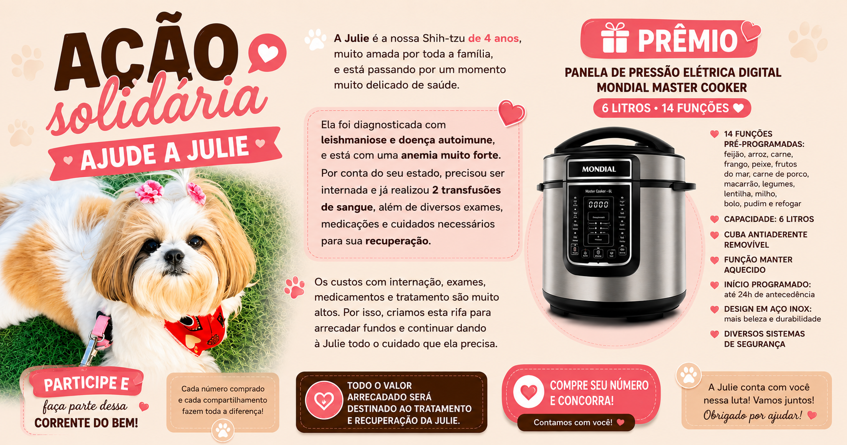 Ação Solidária- Julie