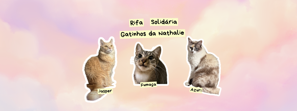 Custos Iniciais dos Gatinhos da Nathalie