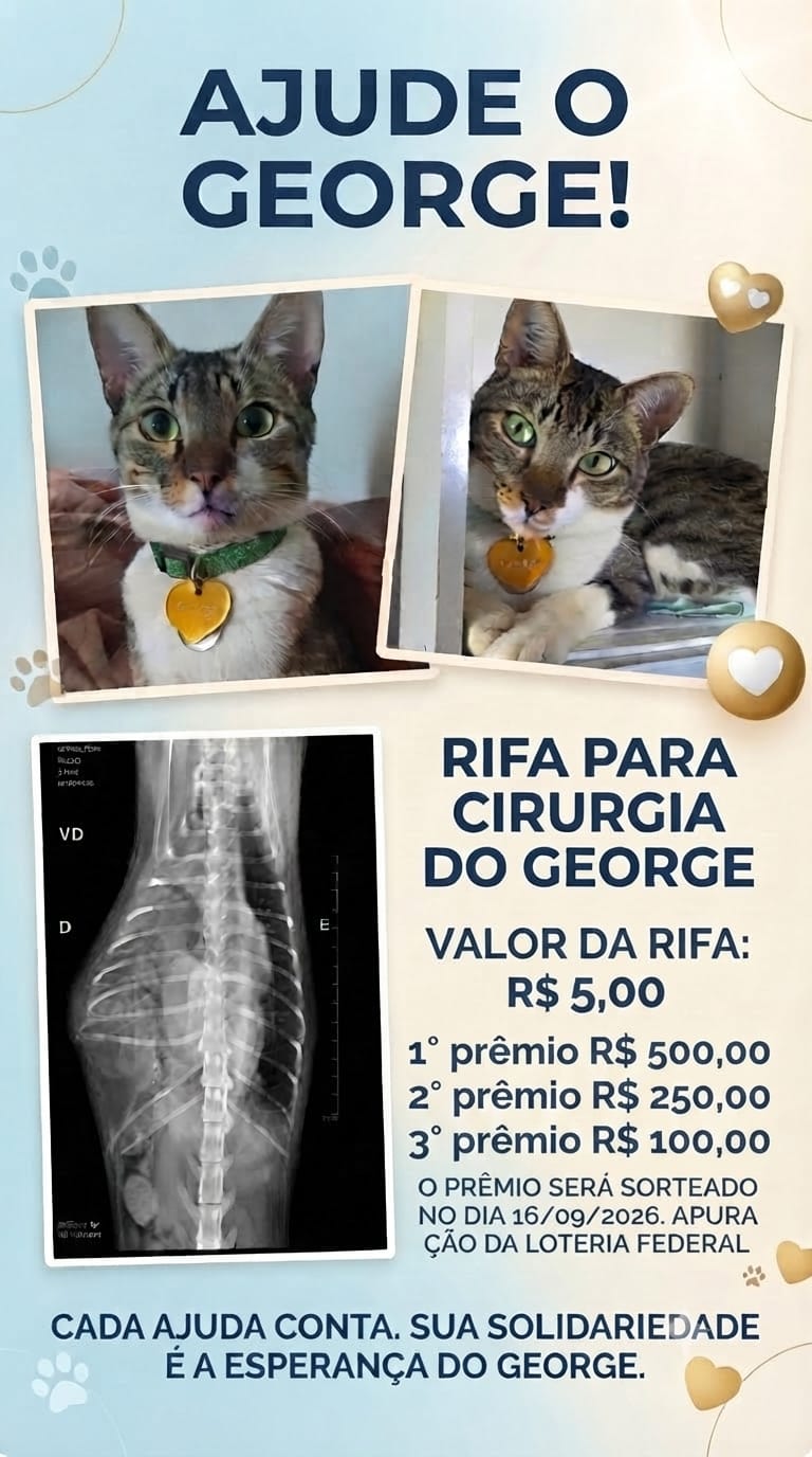 Cirurgia George