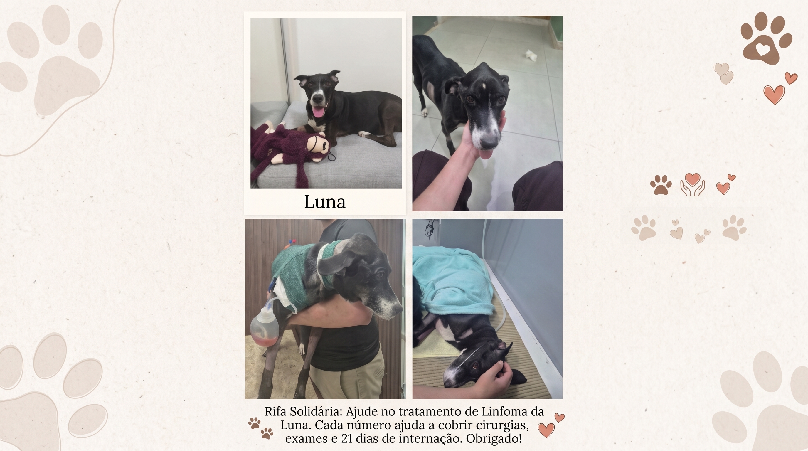 Internação e tratamento oncológico Linfoma da Luninha