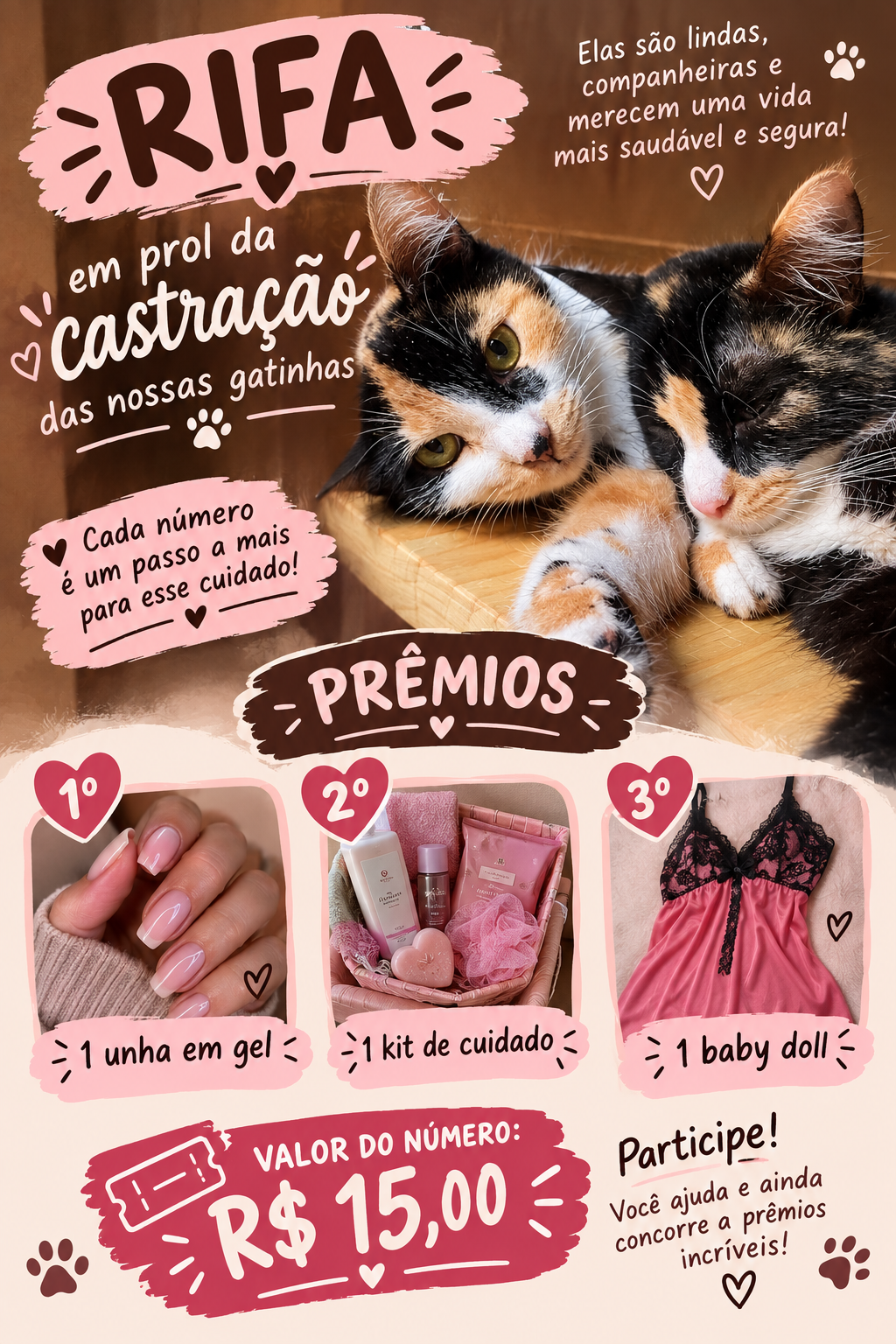 🐱💗 RIFA SOLIDÁRIA – AJUDE NA CASTRAÇÃO DAS GATINHAS 💗🐱