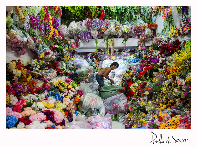 Pablo de Sousa - Flores de Saigon - Não-enquadrada e Assinada Digitalmente - 50x70cm